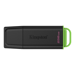 KINGSTON USB3.2 256GB PLASTIC