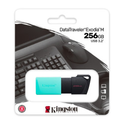 KINGSTON USB3.2 256GB PLASTIC