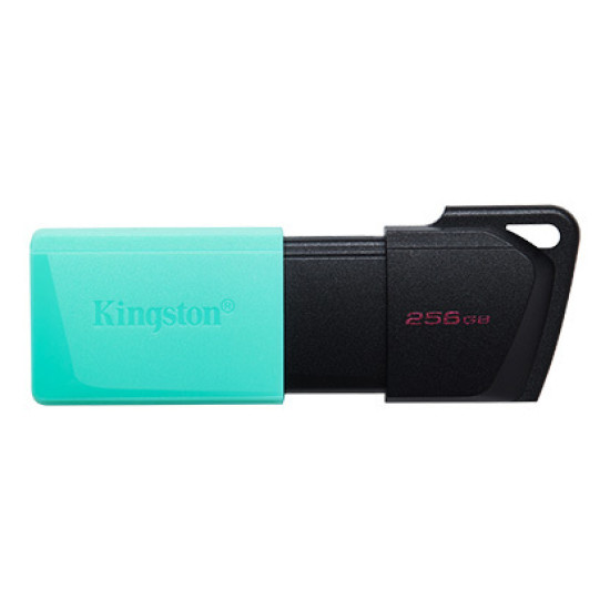 KINGSTON USB3.2 256GB PLASTIC