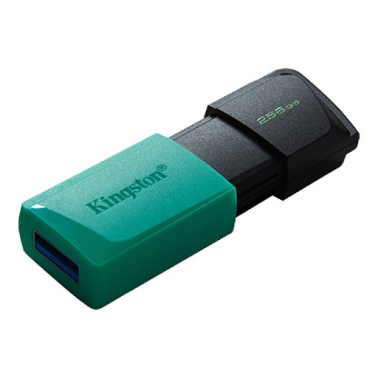 KINGSTON USB3.2 256GB PLASTIC