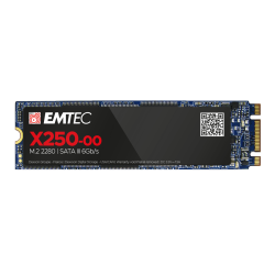 EMTEC SSD 256GB INT M2_SATA 2280  