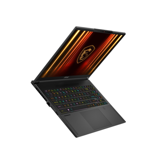 MSI RAI9_300 32G RTX5070TI 2TB_SSD 16 QHD+ 240HZ WIN11_HOME M2 PCI-E BLACK BACKLIT