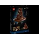 LEGO Harry Potter - Talking Sorting Hat - 76429 LEGO Harry Potter - Talking Sorting Hat - 76429