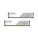 Памет G.SKILL Flare X5 White 96GB(2x48GB) DDR5 6000MHz - AMD EXPO Памет G.SKILL Flare X5 White 96GB(2x48GB) DDR5 6000MHz - AMD EXPO
