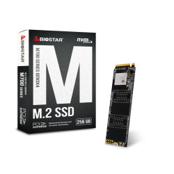 Biostar диск SSD 256GB M.2 PCI Express - M700-256GB Biostar диск SSD 256GB M.2 PCI Express - M700-256GB