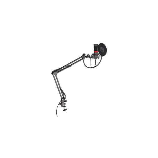Microphone and mount ENDORFY - Solum Streaming Microphone and mount ENDORFY - Solum Streaming