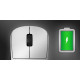 Endgame Gear професионална геймърска мишка OP1w 4K - Wireless Gaming Mouse - White Endgame Gear професионална геймърска мишка OP1w 4K - Wireless Gaming Mouse - White