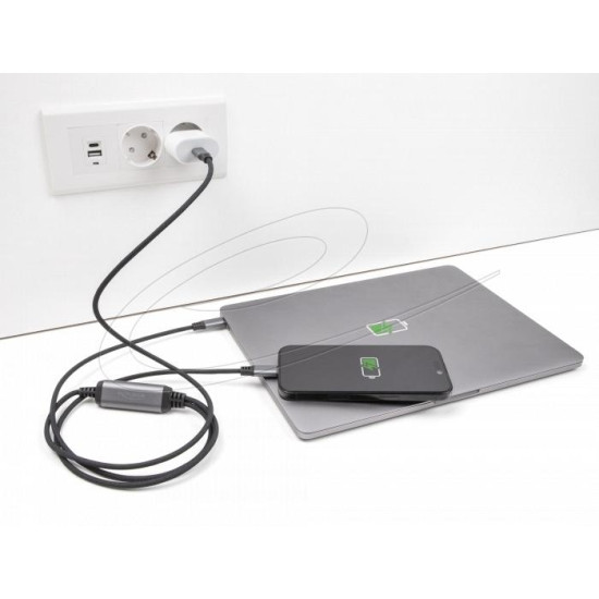 Delock Кабел USB-C, Y-кабел, 2 x USB-C PD 3.0, 100 W, 1.2 m