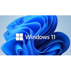 MICROSOFT WINDOWS_11_HOME MICROSOFT WINDOWS_11_HOME