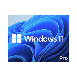 MICROSOFT WINDOWS 11 PRO MICROSOFT WINDOWS 11 PRO