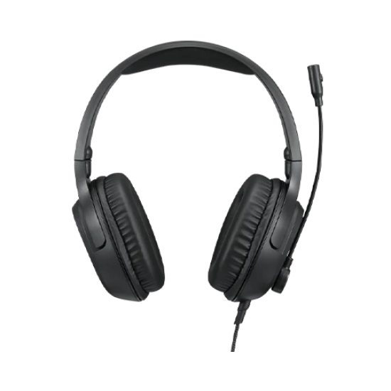 LENOVO HEADSET WIRED 3.5MM MIC LENOVO HEADSET WIRED 3.5MM MIC