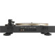Turntable JBL Spinner Black/Gold