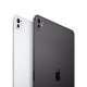 Apple 13-inch iPad Pro (M4) WiFi 256GB with Standard glass - space black