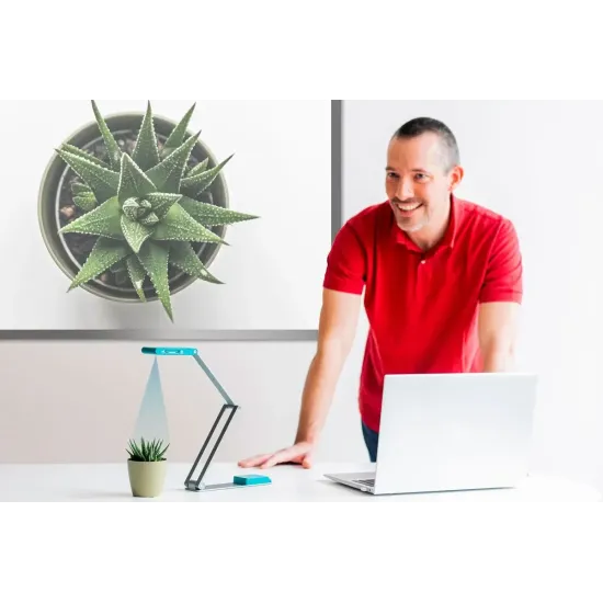 Document camera with portable scanner-visualizer IRIScan VISUALIZER 7 Dislexic, 4K, USB-C Document camera with portable scanner-visualizer IRIScan VISUALIZER 7 Dislexic, 4K, USB-C