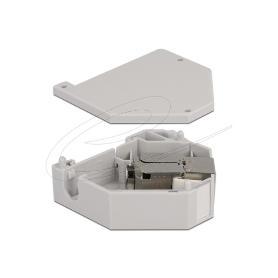 Delock DIN rail Adapter with Keystone Module RJ45 jack Cat.6A LSA