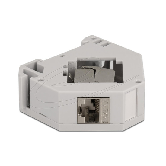 Delock DIN rail Adapter with Keystone Module RJ45 jack Cat.6A LSA