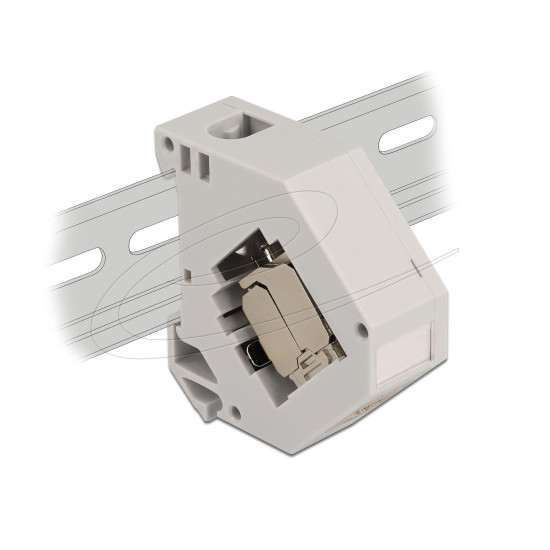 Delock DIN rail Adapter with Keystone Module RJ45 jack Cat.6A LSA