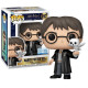 Funko Pop!& Buddy Figure: Harry Potter - Harry Potter with Hedwig (Special Edition) #197