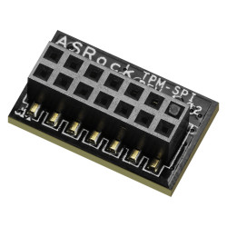 Security module ASRock TPM-SPI
