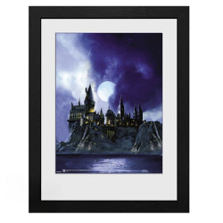 GBEYE HARRY POTTER - Framed print 