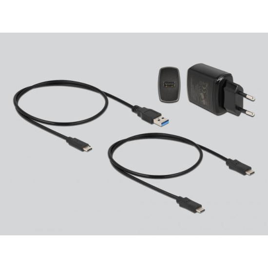 Delock M.2 Docking Station for 2 x M.2 SATA SSD with Clone function Delock M.2 Docking Station for 2 x M.2 SATA SSD with Clone function