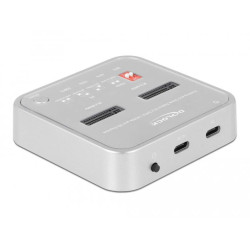 Delock Docking Station for 1 x M.2 NVMe SSD + 1 x M.2 SATA SSD with SD Express (SD 7.1) Card Reader and Clone Function