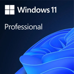 Sofware MS Windows Pro 11 ESD 64-bit All lang Downloadable Sofware MS Windows Pro 11 ESD 64-bit All lang Downloadable