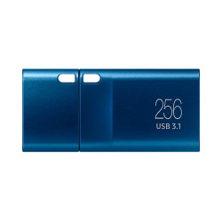 Samsung USB-C Flash drive 3.1 2022, 256GB, Blue Samsung USB-C Flash drive 3.1 2022, 256GB, Blue