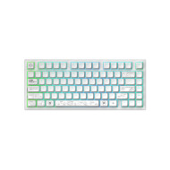 Геймърскa безжична клавиатура Dark Project ALU81A Terra Nova White RGB Геймърскa безжична клавиатура Dark Project ALU81A Terra Nova White RGB