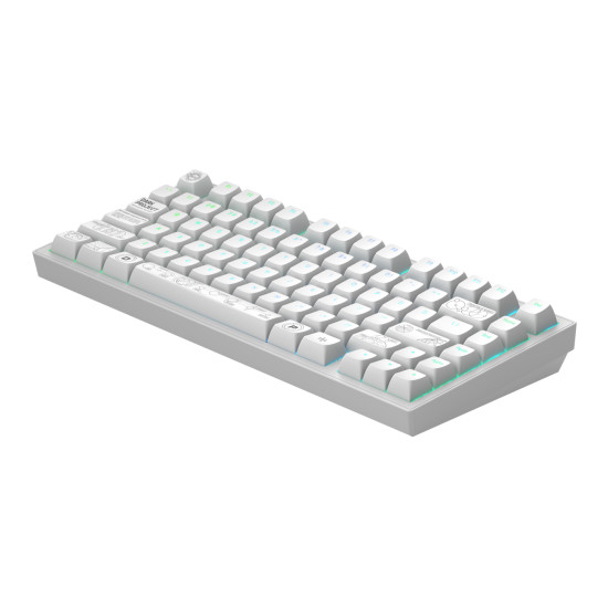 Геймърскa безжична клавиатура Dark Project ALU81A Terra Nova White RGB Геймърскa безжична клавиатура Dark Project ALU81A Terra Nova White RGB