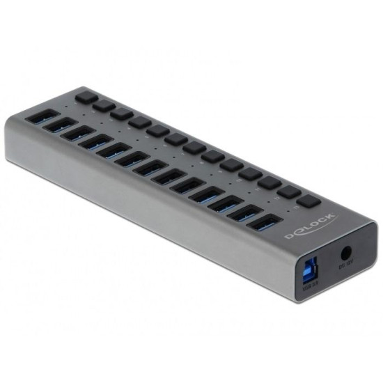Delock External SuperSpeed USB Hub with 13 Ports, DELOCK-63738