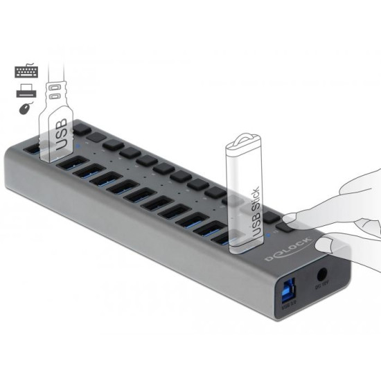 Delock External SuperSpeed USB Hub with 13 Ports, DELOCK-63738