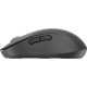 Wireless Mouse Logitech Signature M650 L - Graphite