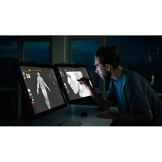 Graphic Display Tablet HUION Kamvas Pro 24 GT2401, Black
