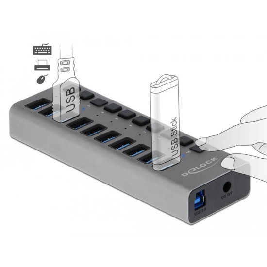 USB Hub with 10 Ports, DELOCK-63670