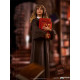 Iron Studios: Harry Potter - Hermionone Granger Art Scale Statue 1/10 WBHPM40821-10