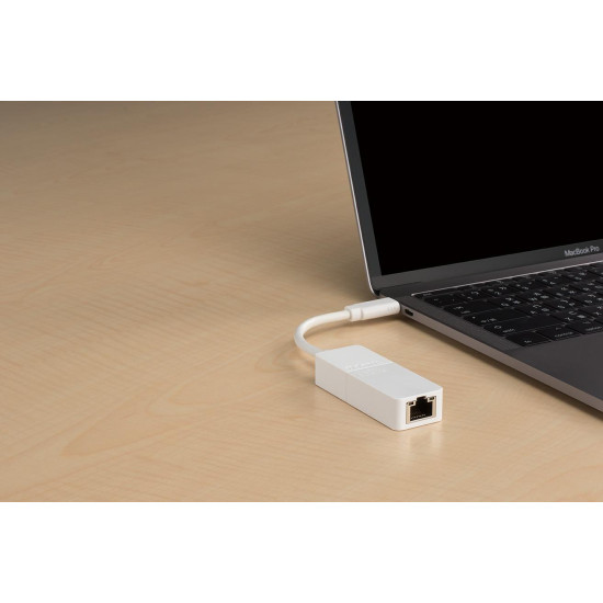 D-Link DUB-E130 USB -C - LAN 10/100/1000 Fast Ethernet Adapter