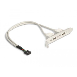 Delock Slot bracket 2 x USB 2.0 type A female external
