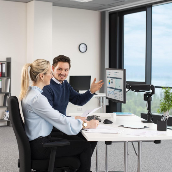 Стойка за монитор за бюро HAMA, Регулируема, 13