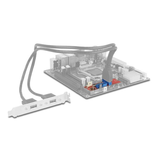 Адаптер Delock, M.2 Key B+M мъжко към 2 x USB 5 Gbps Pin Header