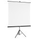 Екран на стойка 125x125 cm, 2 в 1, мобилен комплект, 21575