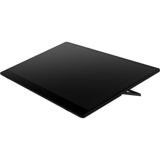 Преносим тъч монитор  RICOH 150, OLED, 15.6