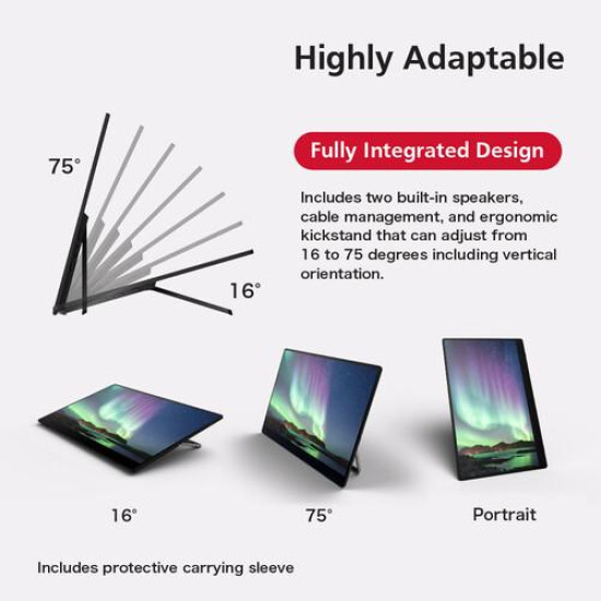 Преносим тъч монитор  RICOH 150, OLED, 15.6