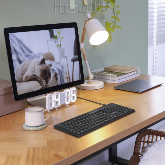 Hama Cable Keyboard CK-100,