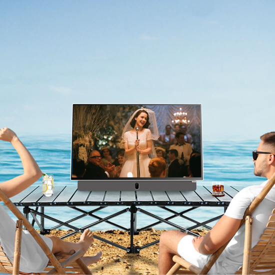 Портативен телевизор METZ 24MPE7000 24