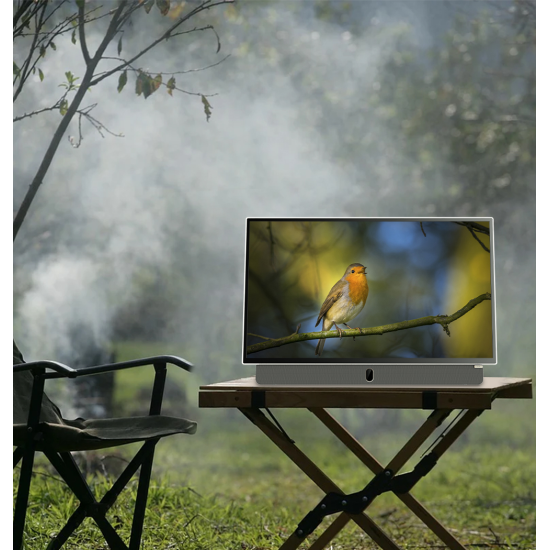 Портативен телевизор METZ 24MPE7000 24