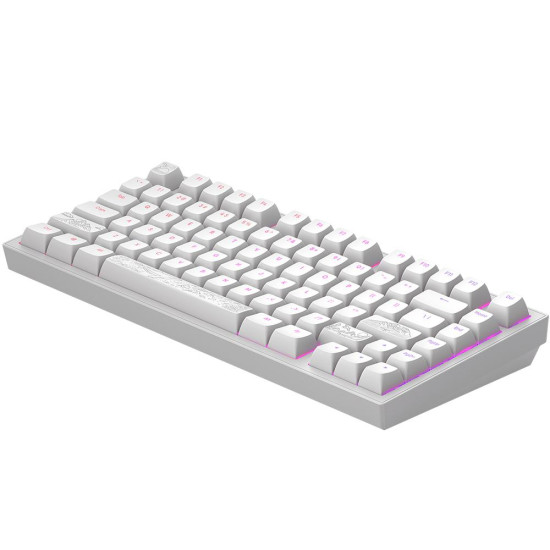 Gaming Mechanical Keyboard Dark Project ALU81A Terra Nostra White RGB
