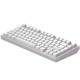 Gaming Mechanical Keyboard Dark Project ALU81A Terra Nostra White RGB