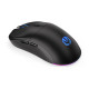 Gaming Mouse ENDORFY Gem Plus Wireless