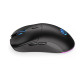 Gaming Mouse ENDORFY Gem Plus Wireless